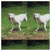 Boxer Stof (Close Up)