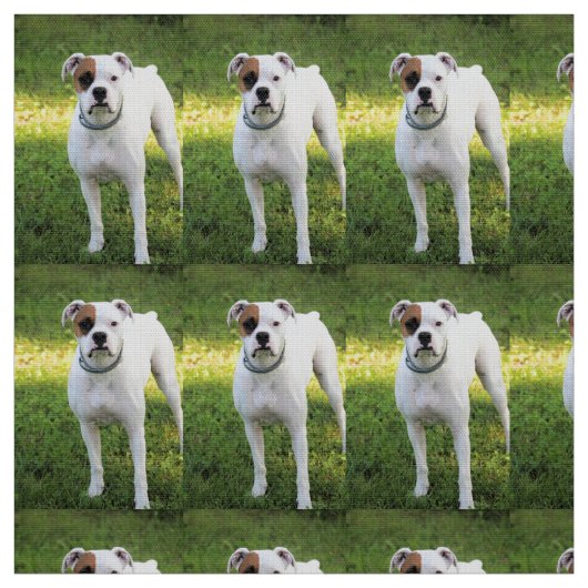 Boxer Stof (Swatch)