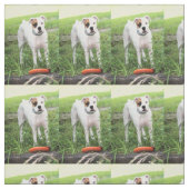Boxer Stof (Swatch)