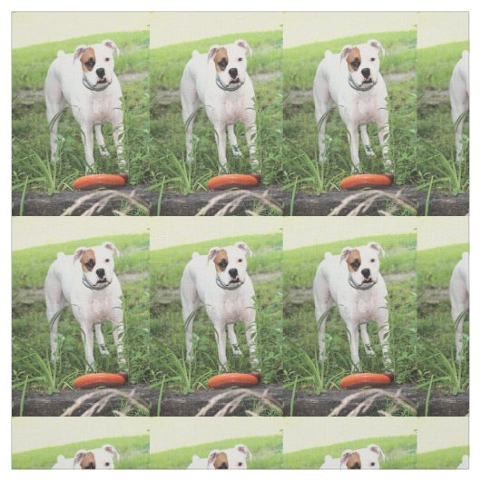Boxer Stof (Swatch)