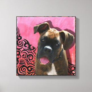 Boxer Stretched Canvas