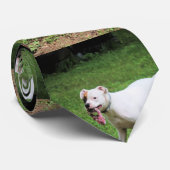 Boxer Stropdas (Opgerold)