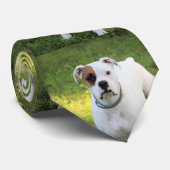 Boxer Stropdas (Opgerold)