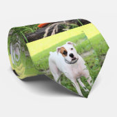 Boxer Stropdas (Opgerold)