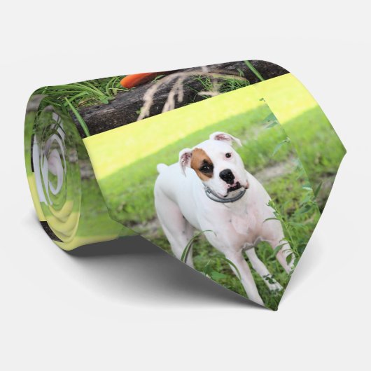 Boxer Stropdas (Opgerold)