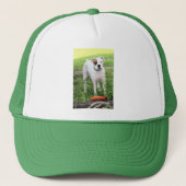 Boxer T-Shirt Trucker Pet (Voorkant)