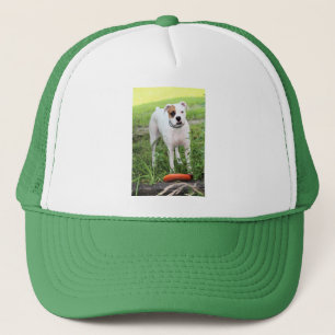 Boxer T-Shirt Trucker Pet