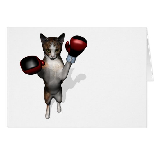 Boxer Tabby (Voorkant Horizontaal)