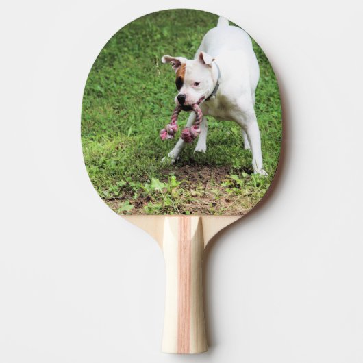 Boxer Tafeltennisbatje (Voorkant)