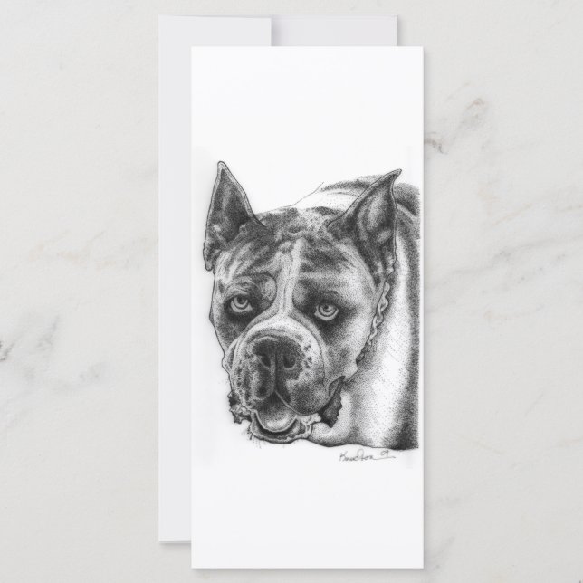 Boxer Tekening (Voorkant)