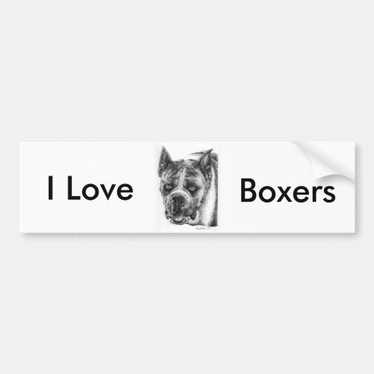 Boxer Tekening Bumpersticker (Voorkant)