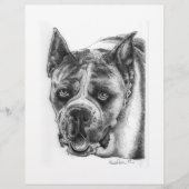 Boxer Tekening Flyer (Voorkant)