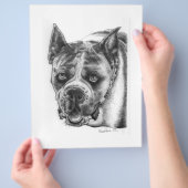 Boxer Tekening Flyer (Hand)