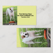 Boxer Visitekaartje (Voorkant / Achterkant)