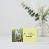 Boxer Visitekaartje (Staand voorkant)