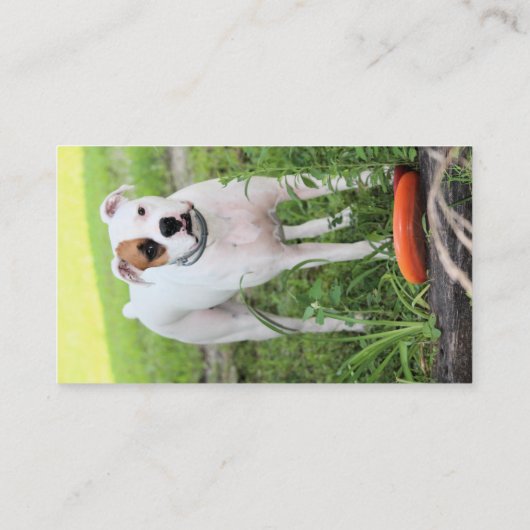 Boxer Visitekaartje (Achterkant)