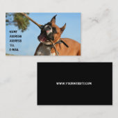 Boxer visitekaartje (Voorkant / Achterkant)