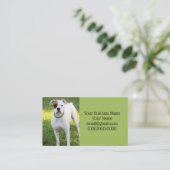 Boxer Visitekaartje (Staand voorkant)