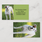 Boxer Visitekaartje (Voorkant / Achterkant)