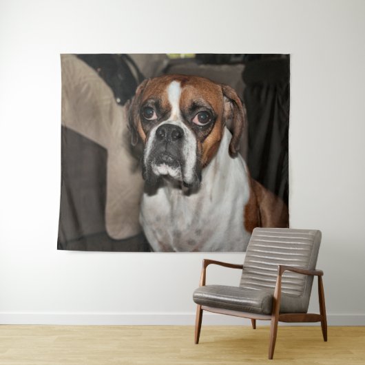 Boxer Wandkleed (In Situ (horizontaal))