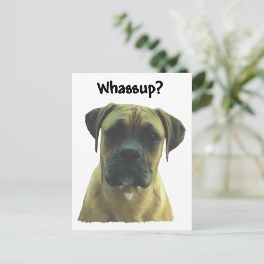 Boxer: Wat? Briefkaart (Staand voorkant)