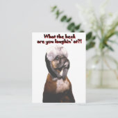 Boxer: Wat de Heck! Briefkaart (Staand voorkant)