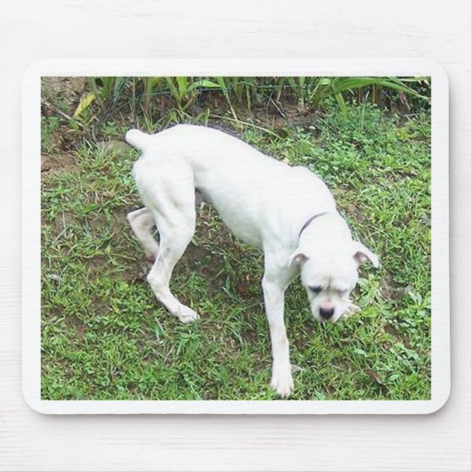 Boxer White Puppy vol Muismat (Voorkant)