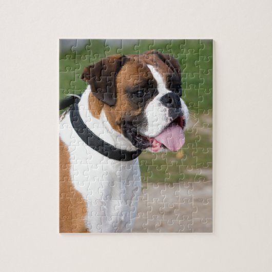 Boxer-zitting Legpuzzel (Verticaal)
