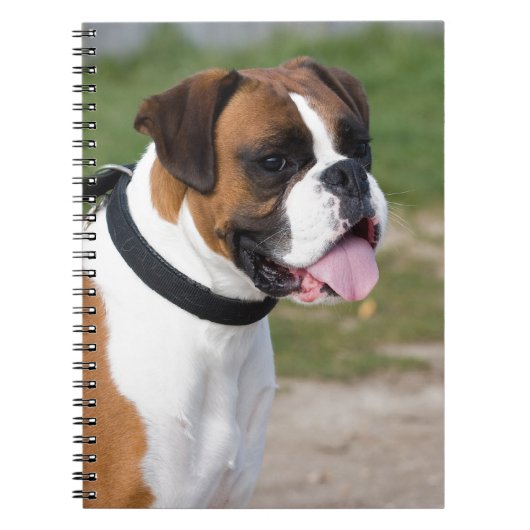 Boxer-zitting Notitieboek (Voorkant)