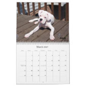 BoxerCrazy 2009 Agenda Kalender (Mar 2027)