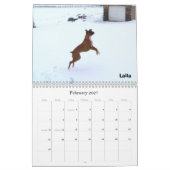 BoxerCrazy 2009 Agenda Kalender (Feb 2027)