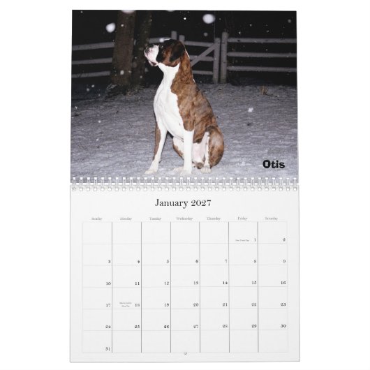 BoxerCrazy 2009 Agenda Kalender (Jan 2027)