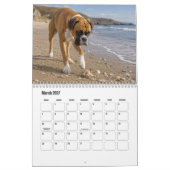 Boxerhond Kalender (Mar 2027)