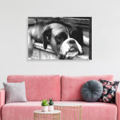 Boxerhond op vensterbank 24x16 (60x40cm) waccnm canvas afdruk (Insitu (Woonkamer))