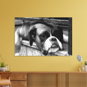 Boxerhond op vensterbank 36x24 (90x60cm) waccnm canvas afdruk (Insitu (Woonkamer))