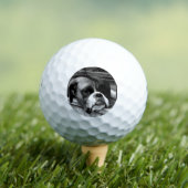 Boxerhond op vensterbank be6 gbcna golfballen (Insitu Shirt)