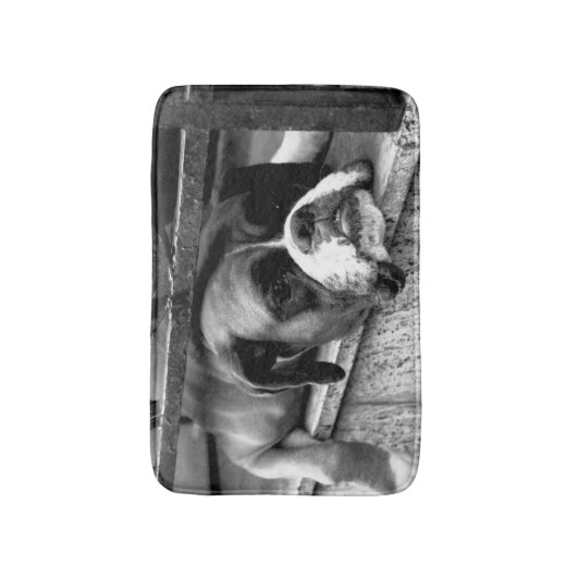 Boxerhond op vensterbank BMCNM Badmat (Voorkant Verticaal)