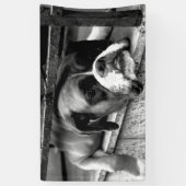 Boxerhond op vensterbank BNRCNM Spandoek (Verticaal)