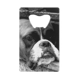 Boxerhond op vensterbank bocna creditkaart flessenopener