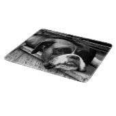 Boxerhond op vensterbank cbcna snijplank (Hoek)