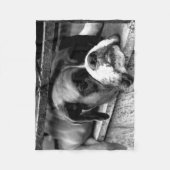Boxerhond op vensterbank FBCNA Fleece Deken (Voorkant)