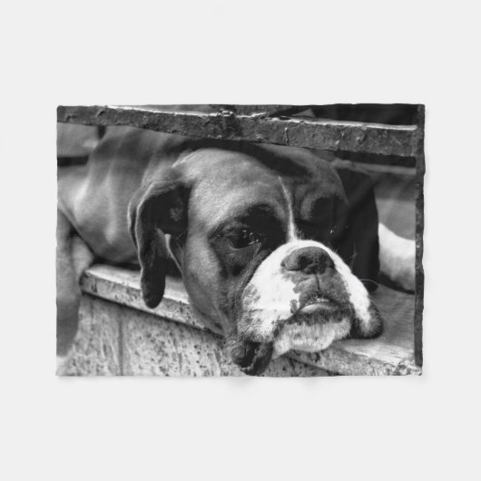 Boxerhond op vensterbank fbcnm fleece deken (Voorkant (Horizontaal))
