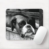 Boxerhond op vensterbank MPCNA Muismat (Met muis)