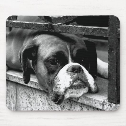 Boxerhond op vensterbank MPCNA Muismat (Voorkant)