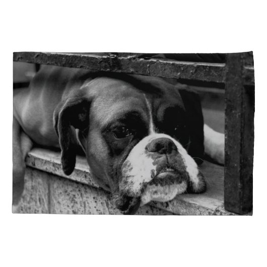 Boxerhond op vensterbank PCCNA Kussensloop (Achterkant)