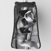 Boxerhond op vensterbank PCNM Golfheadcover (Draai 90)