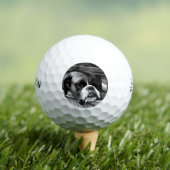 Boxerhond op vensterbank SSF GBCNM Golfballen (Insitu Shirt)