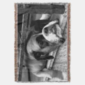 Boxerhond op vensterbank TBCNM Deken (Voorkant Verticaal)