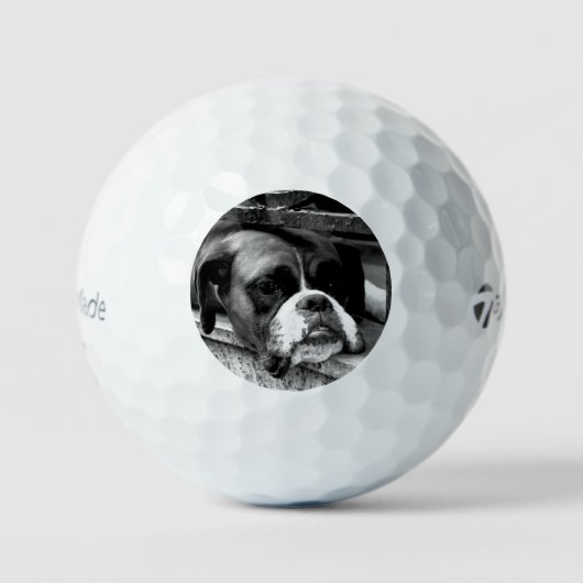 Boxerhond Op Vensterbank tmtp5 gbcna Golfballen (Voorkant)