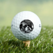 Boxerhond op vensterbank tmtp5 gbcnm golfballen (Insitu Shirt)